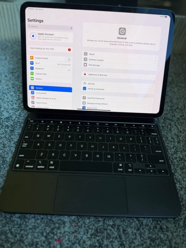 Unlocked iPad Pro 11inch M4 256gb