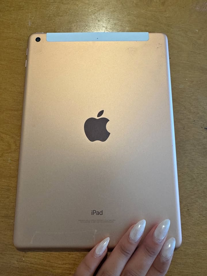 Rose Gold iPad (works well) 2 Rose Gold iPad (works well)