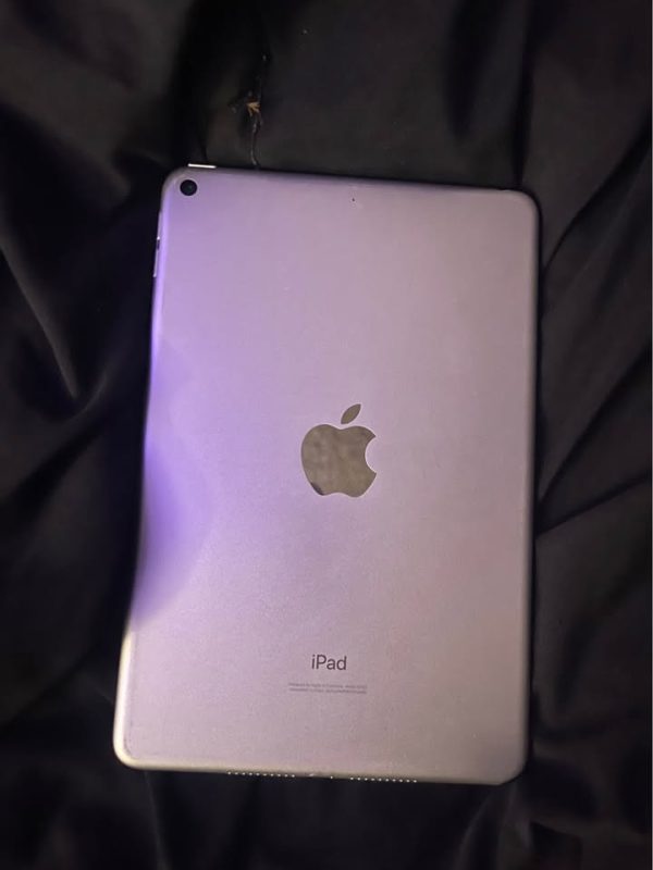 Ipad mini 5 64GB unlocked (WHITE)