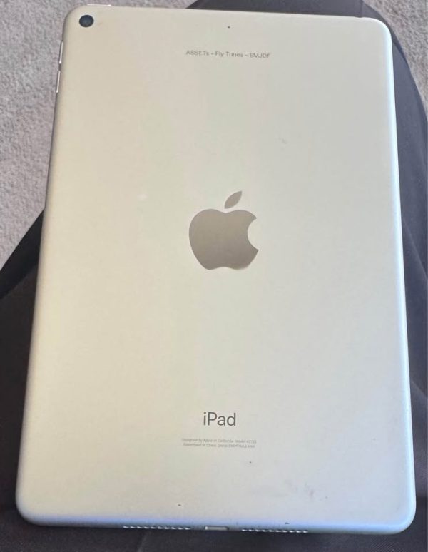 IPAD MINI 5TH GENERATION