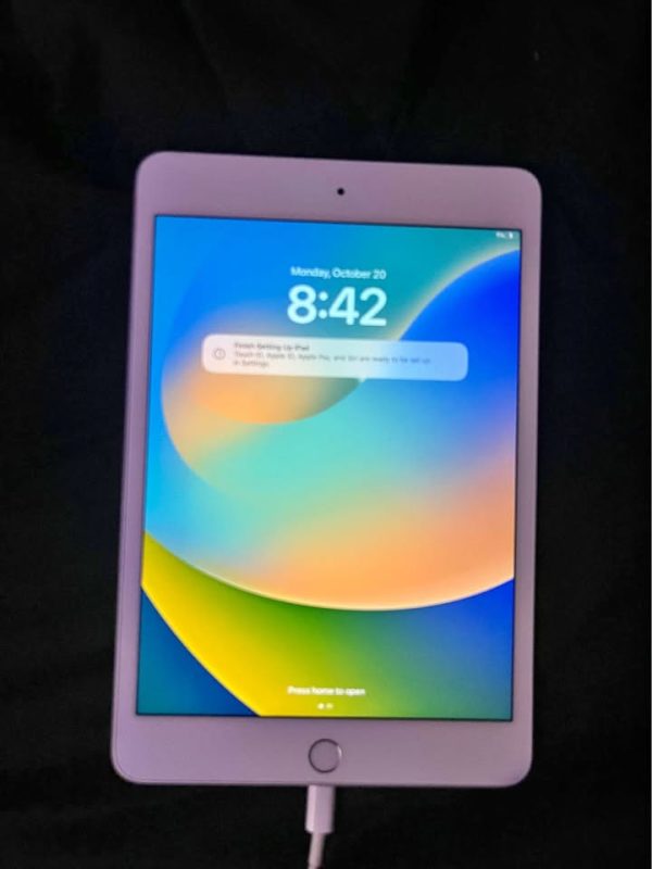 Ipad mini 5 64GB unlocked (WHITE)