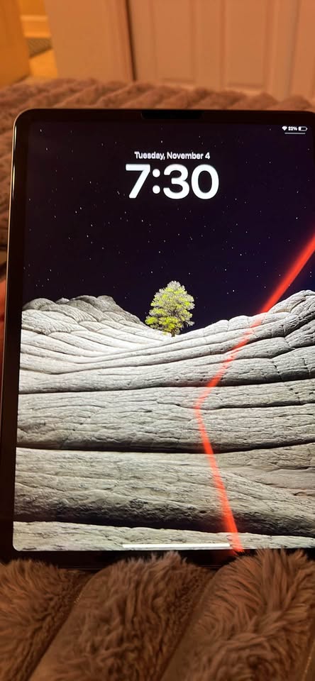 iPad Pro 11 inch 2nd generation