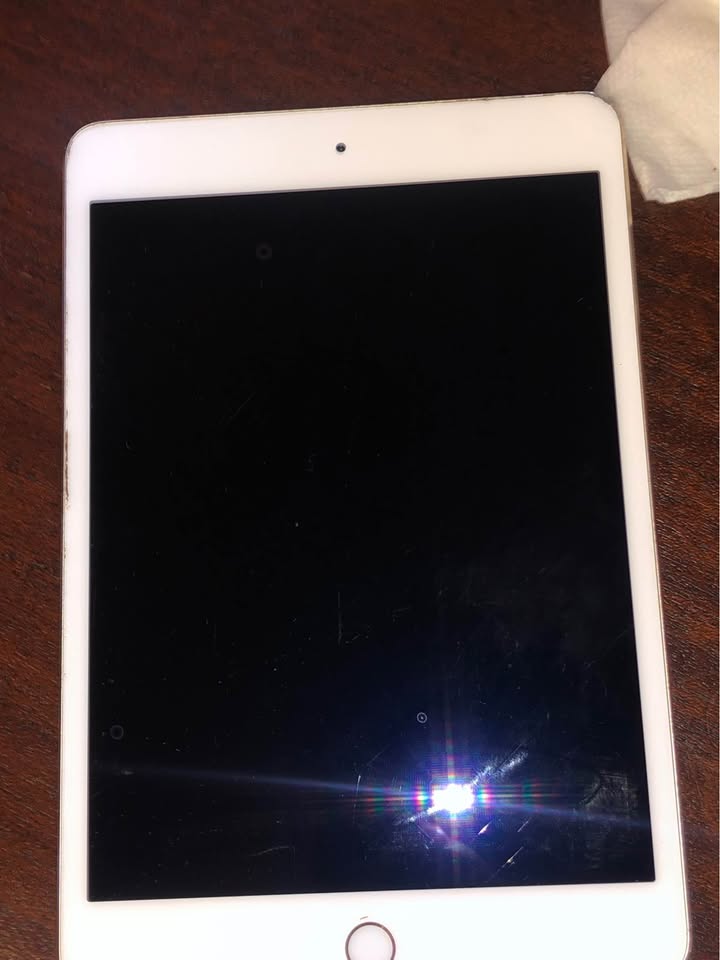 iPad mini 2 iPad mini