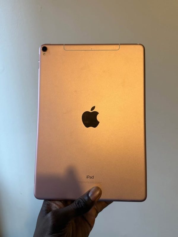 Apple ipad Pro (10.5inch) with case and Apple Pencil USB