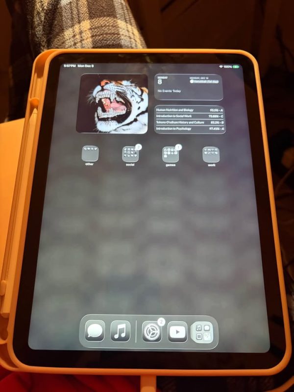 Pink IPad 11-inch A16 with Wi-Fi 256GB