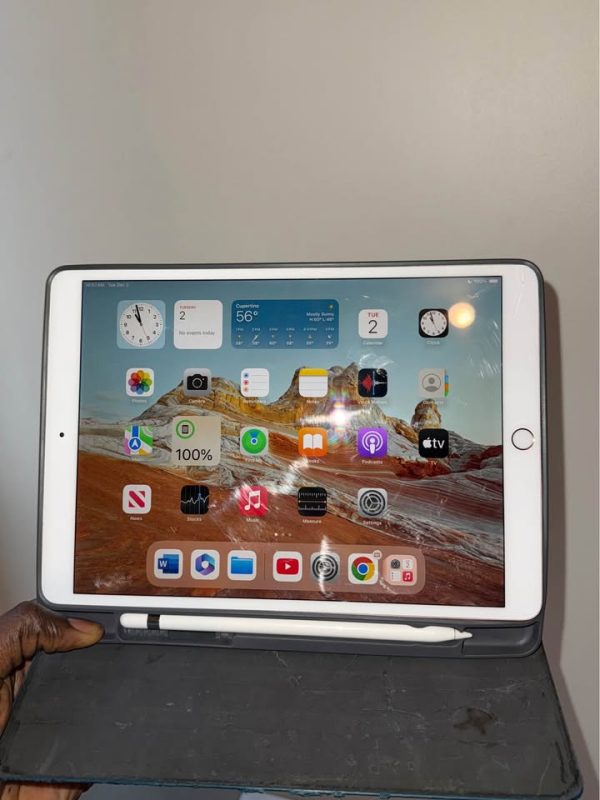 Apple ipad Pro (10.5inch) with case and Apple Pencil USB