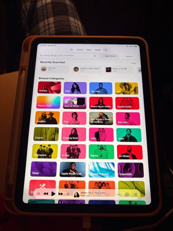 Pink IPad 11-inch A16 with Wi-Fi 256GB