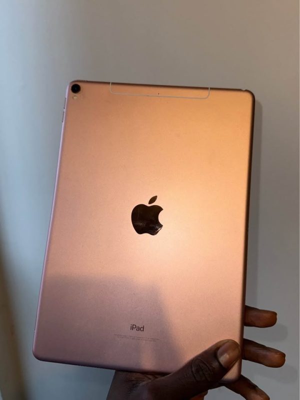 Apple ipad Pro (10.5inch) with case and Apple Pencil USB