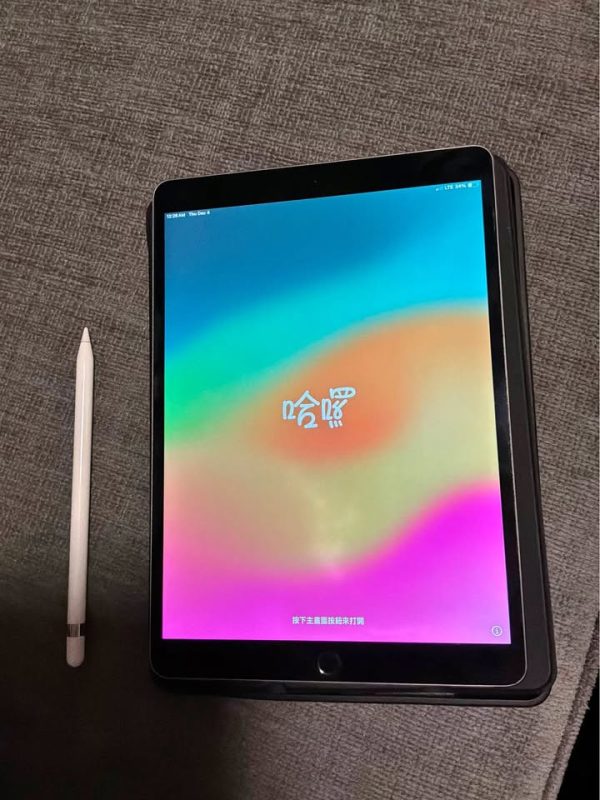 iPad Pro 10.5” with case WIFI + CELLULAR