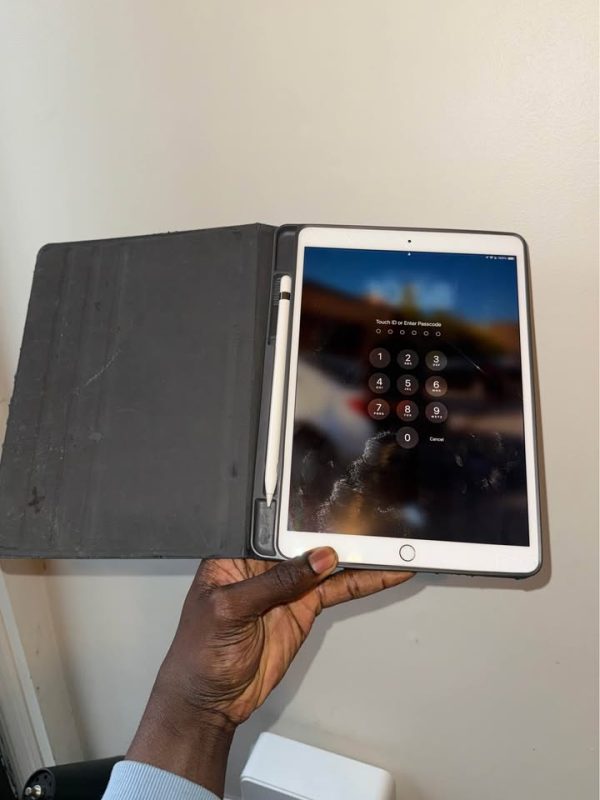 Apple ipad Pro (10.5inch) with case and Apple Pencil USB