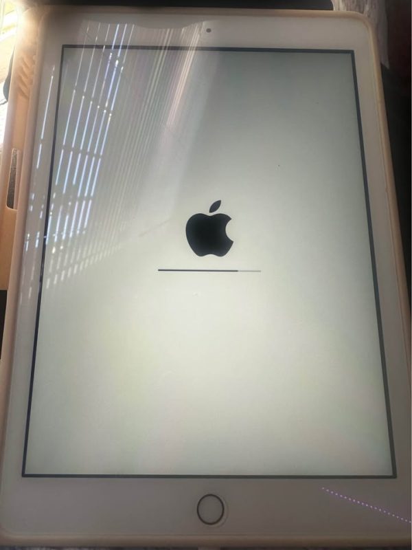 iPad WiFi 128GB Gold 5th gen