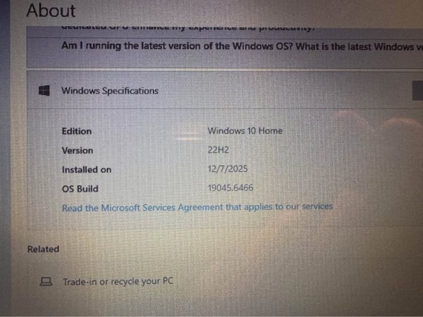 Dell Inspiron 3195 Laptop/Tablet