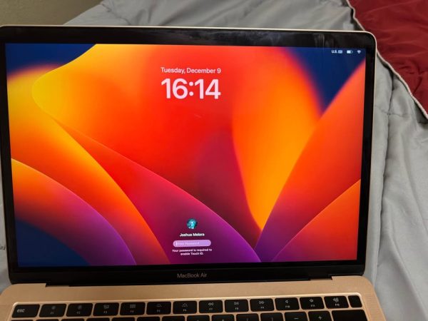 MacBook Air in Gold (Retina, 13-inch, 2019)