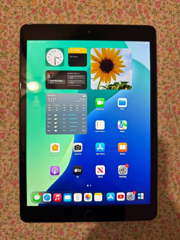 iPad 7th Generation (32GB)