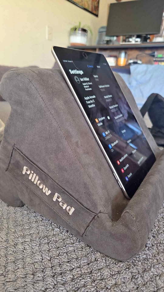 Apple iPad Air 2 16gb with case and pillow pad