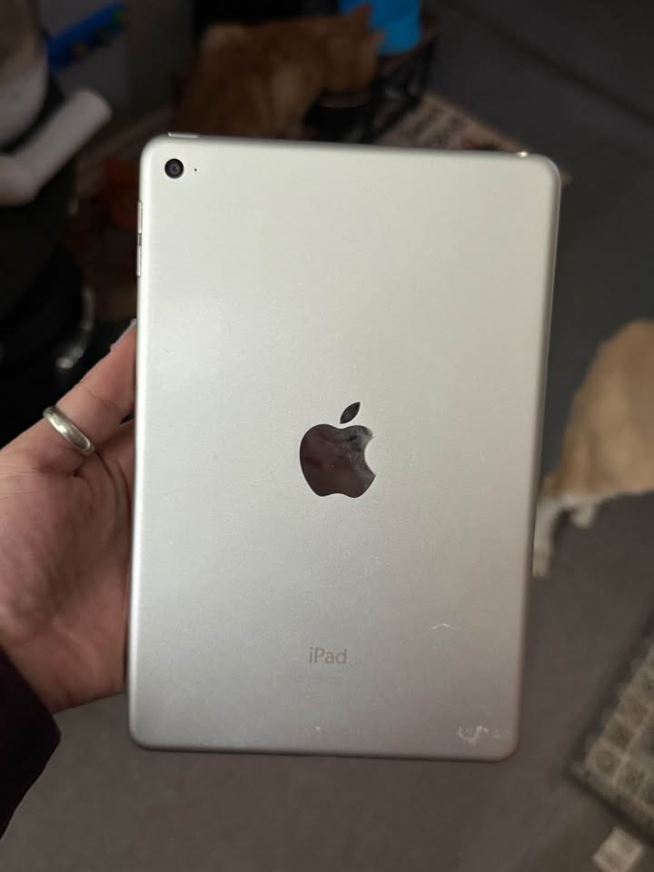 iPad Mini 4 1 iPad Mini 4