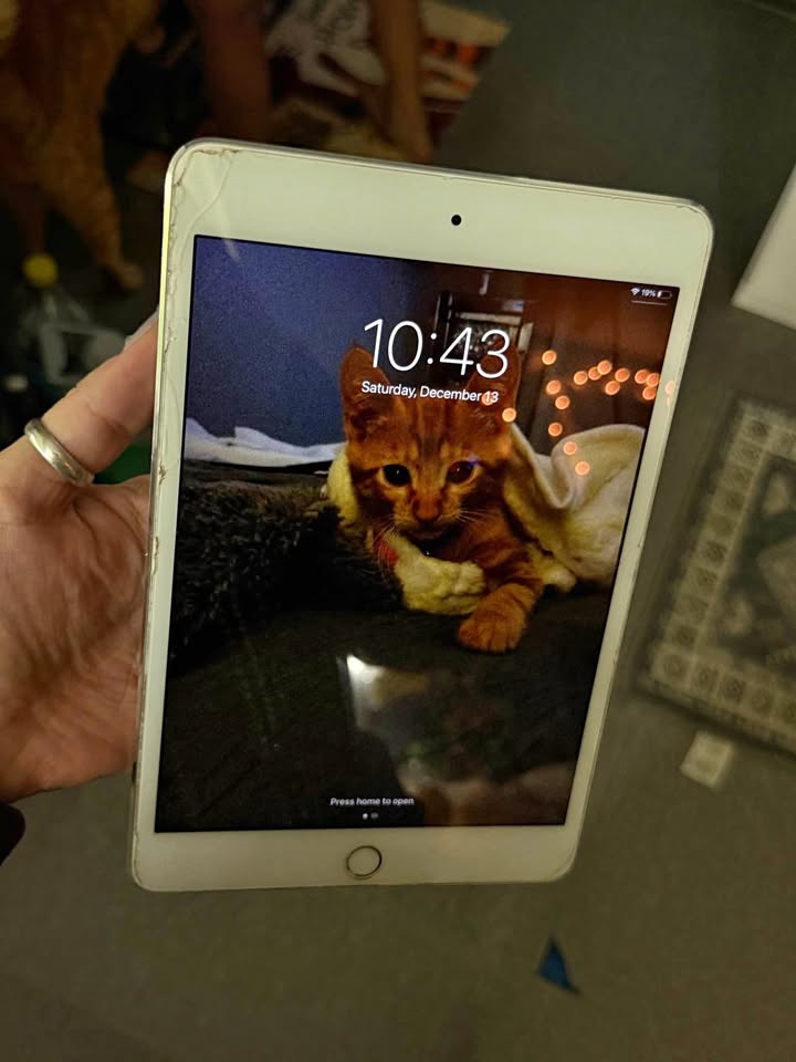 iPad Mini 4 2 iPad Mini 4