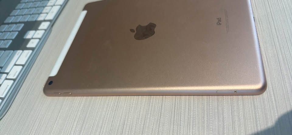 iPad (Cellular) 1 iPad (Cellular)