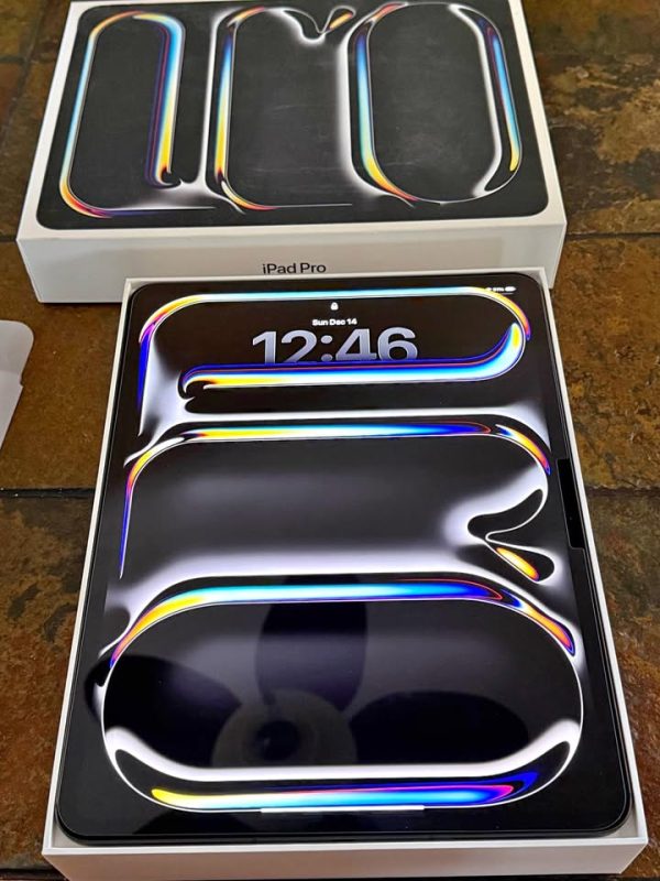 Apple 13 inch iPad Pro M4 chip Built for Apple Intelligence Wi-Fi + Cellular 256GB - Like New