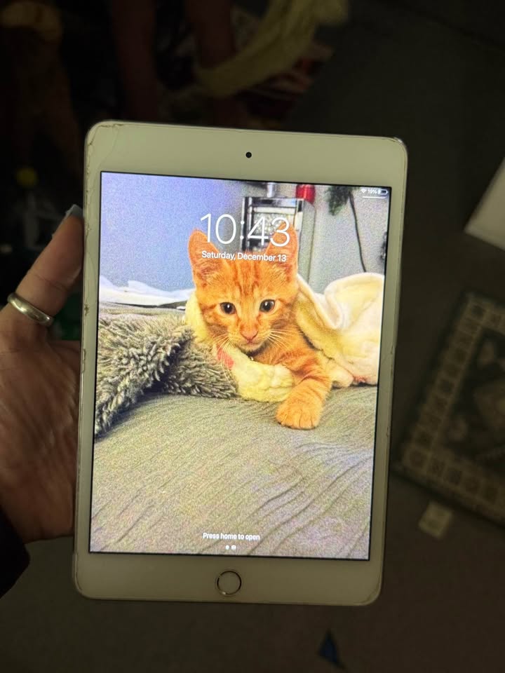 iPad Mini 4 3 iPad Mini 4