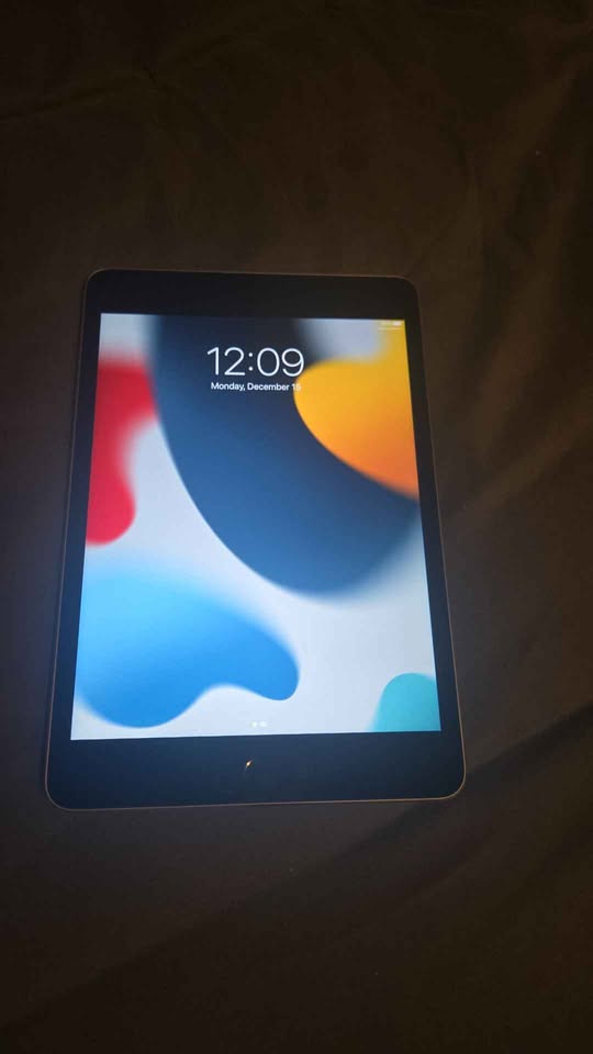 Ipad mini 4