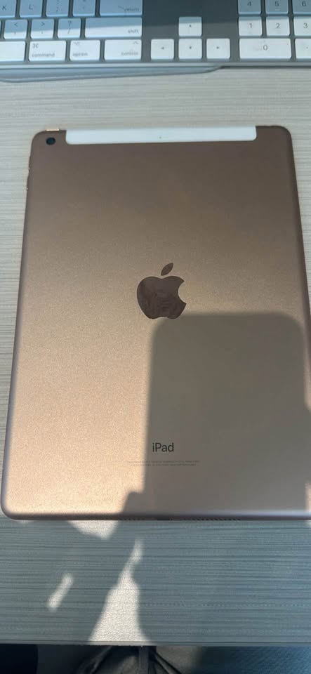 iPad (Cellular) 4 iPad (Cellular)