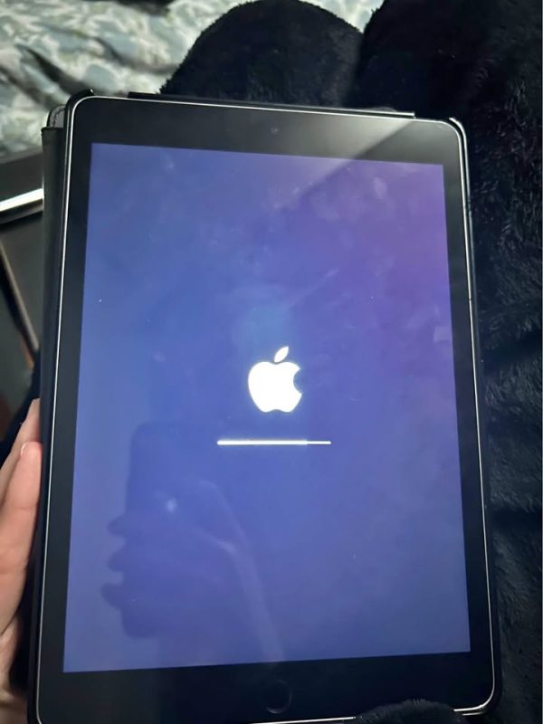 iPad (read description)